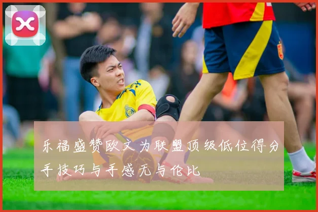 乐福盛赞欧文为联盟顶级低位得分手技巧与手感无与伦比