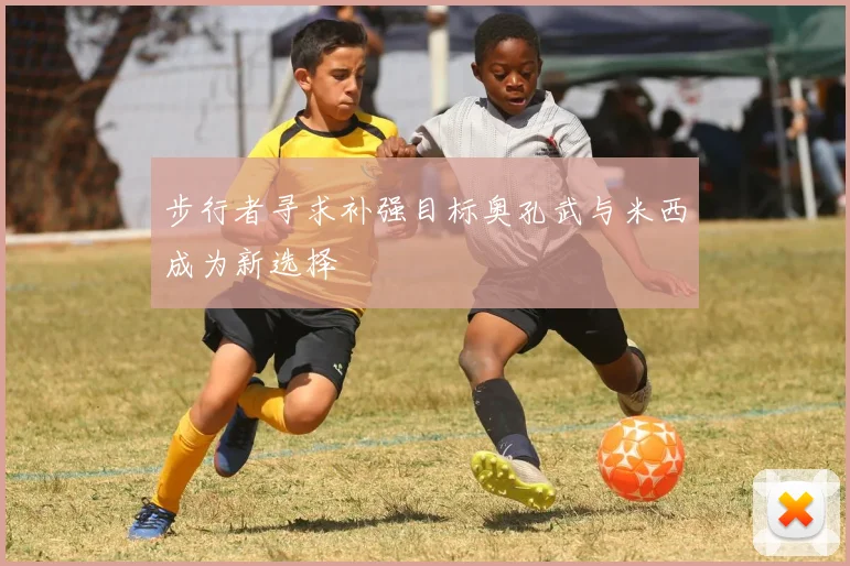 步行者寻求补强目标奥孔武与米西成为新选择