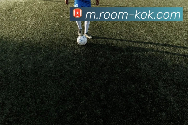 KOK体育APP 高清赛事图